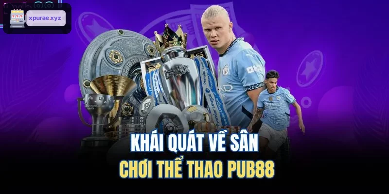 Khái quát về sân chơi thể thao EV99